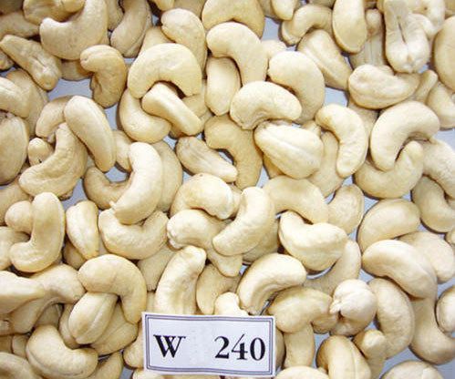 W240 Cashew Nuts